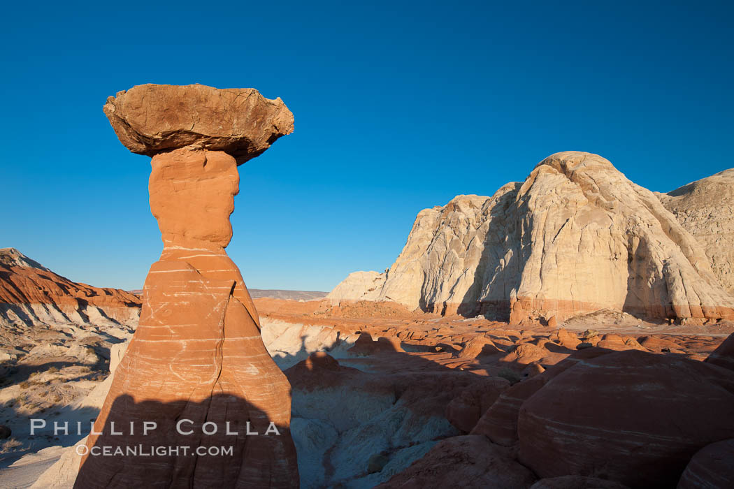 Toadstool Hoodoos near the Paria Rimrocks. Grand Staircase - Escalante National Monument, Utah, USA, natural history stock photograph, photo id 26652