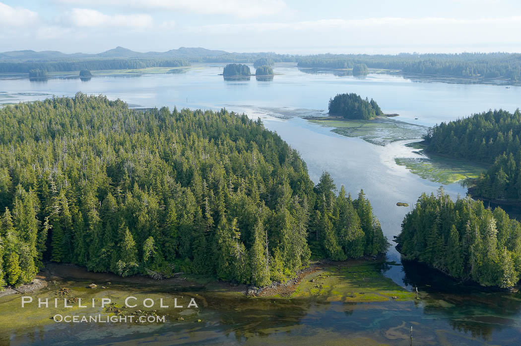 Lemmens Inlet viewed from Meares Island, with Tofino in the distance, aerial photo, on the west coast of Vancouver Island. British Columbia, Canada, natural history stock photograph, photo id 21074