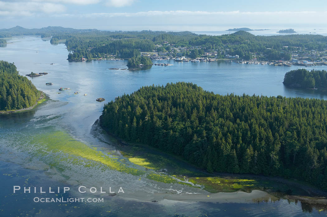 Lemmens Inlet viewed from Meares Island, with Tofino in the distance, aerial photo, on the west coast of Vancouver Island. British Columbia, Canada, natural history stock photograph, photo id 21096