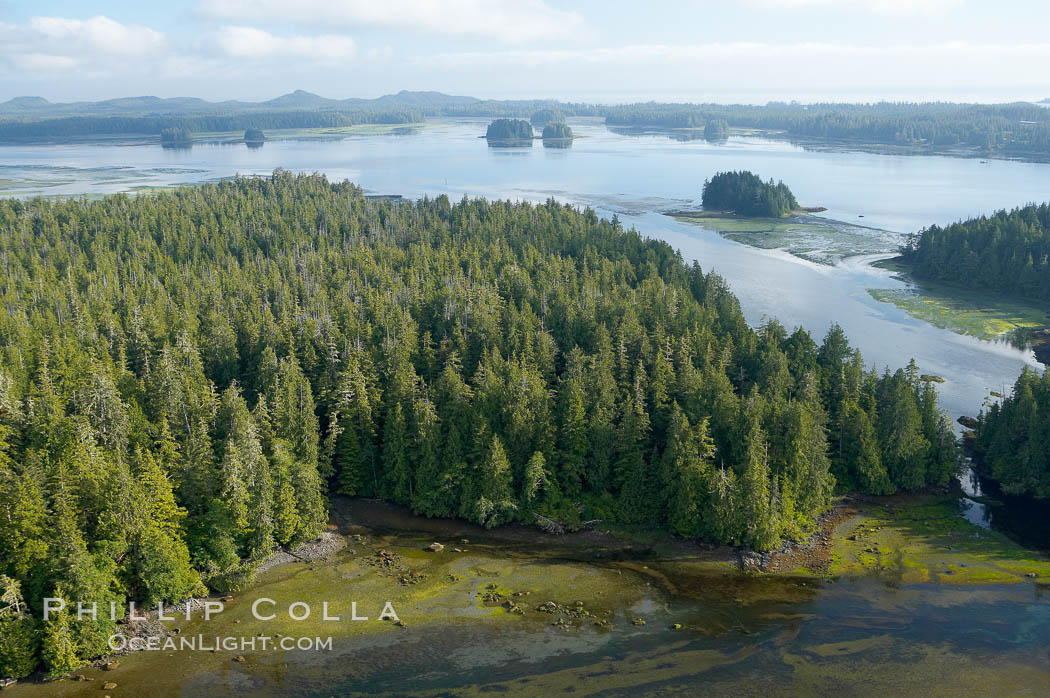 Lemmens Inlet viewed from Meares Island, with Tofino in the distance, aerial photo, on the west coast of Vancouver Island. British Columbia, Canada, natural history stock photograph, photo id 21111