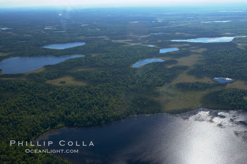 Ponds viewed from the air, somewhere along the coast of the Kenai Peninsula. Alaska, USA, natural history stock photograph, photo id 19089