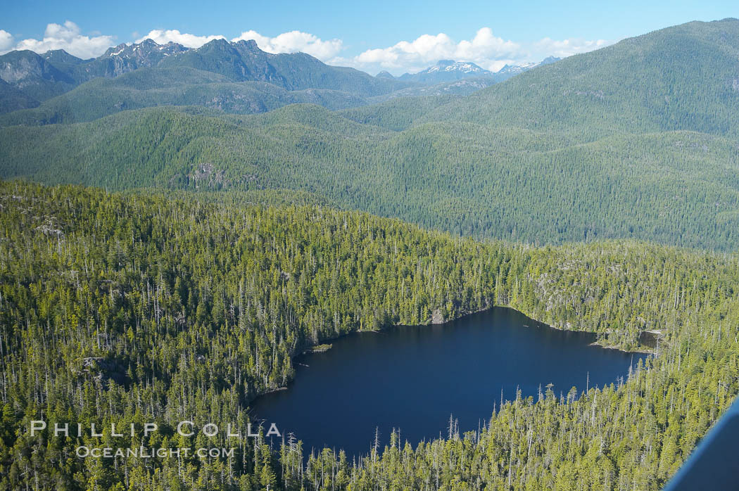 Densely forested Vancouver Island, aerial photo, near Tofino on the west coast of Vancouver Island. British Columbia, Canada, natural history stock photograph, photo id 21117