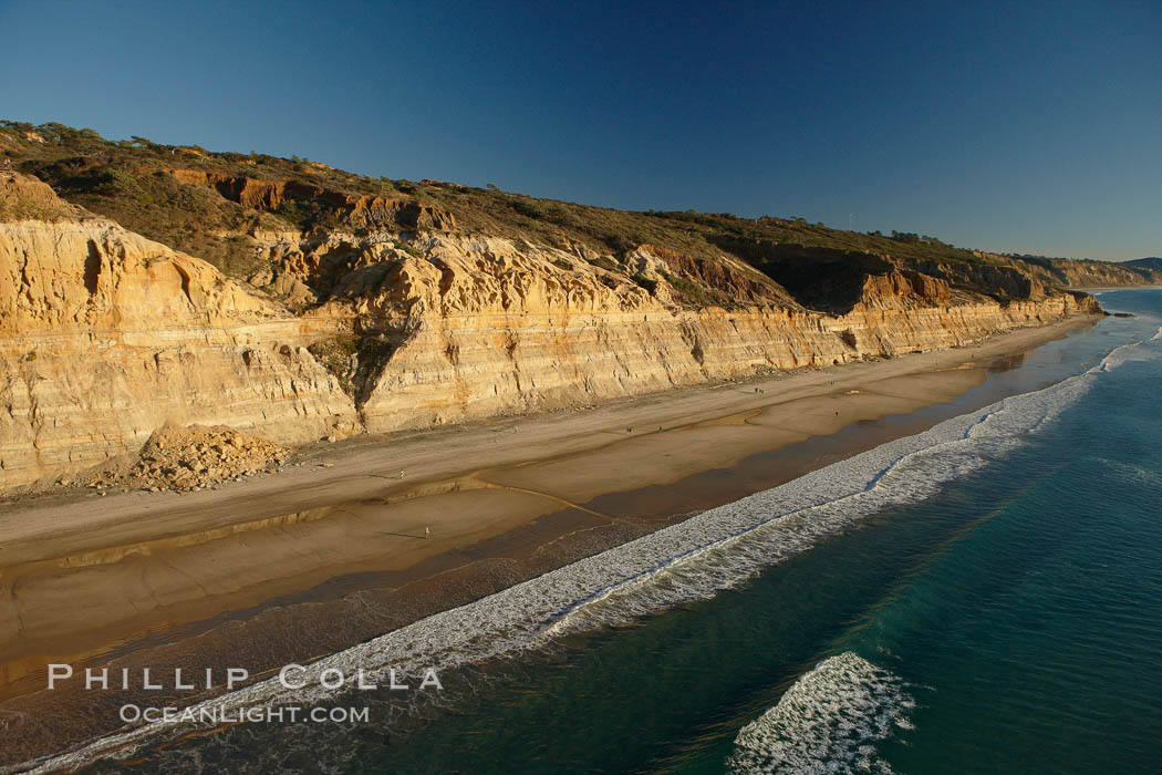 Torrey Pines seacliffs, rising up to 300 feet above the ocean, stretch from Del Mar to La Jolla.  On the mesa atop the bluffs are found Torrey pine trees, one of the rare species of pines in the world. Torrey Pines State Reserve, San Diego, California, USA, natural history stock photograph, photo id 22370