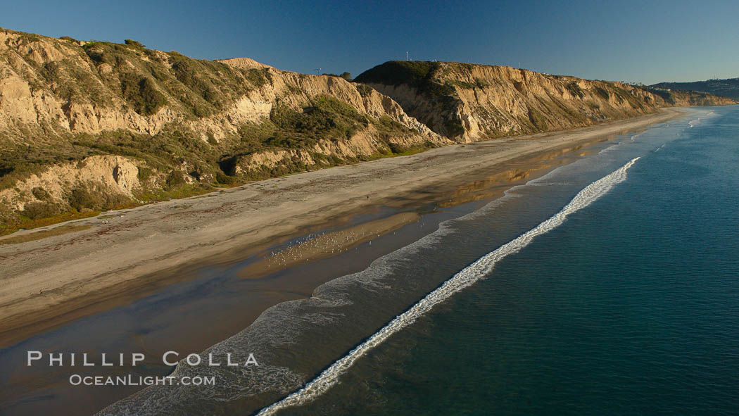 Torrey Pines seacliffs, rising up to 300 feet above the ocean, stretch from Del Mar to La Jolla.  On the mesa atop the bluffs are found Torrey pine trees, one of the rare species of pines in the world. Torrey Pines State Reserve, San Diego, California, USA, natural history stock photograph, photo id 22378