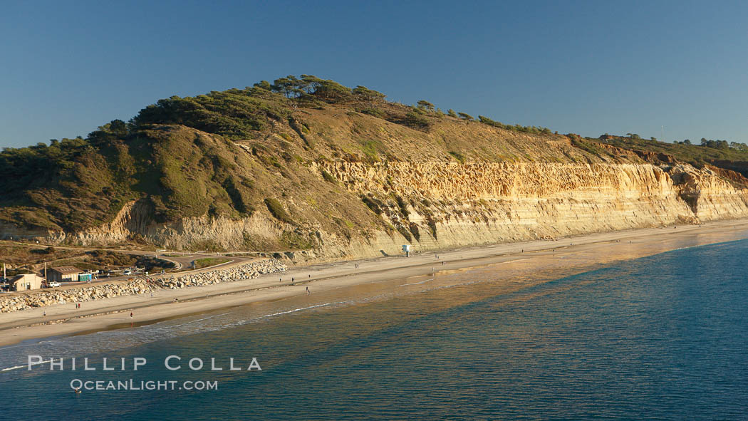 Torrey Pines seacliffs, rising up to 300 feet above the ocean, stretch from Del Mar to La Jolla.  On the mesa atop the bluffs are found Torrey pine trees, one of the rare species of pines in the world. Torrey Pines State Reserve, San Diego, California, USA, natural history stock photograph, photo id 22376