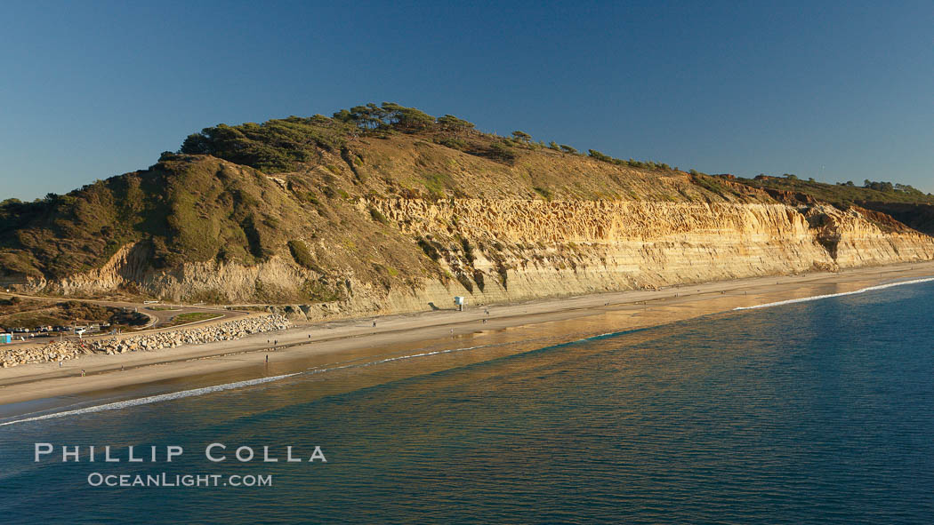 Torrey Pines seacliffs, rising up to 300 feet above the ocean, stretch from Del Mar to La Jolla.  On the mesa atop the bluffs are found Torrey pine trees, one of the rare species of pines in the world. Torrey Pines State Reserve, San Diego, California, USA, natural history stock photograph, photo id 22351