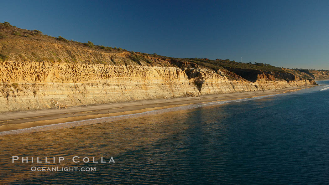 Torrey Pines seacliffs, rising up to 300 feet above the ocean, stretch from Del Mar to La Jolla.  On the mesa atop the bluffs are found Torrey pine trees, one of the rare species of pines in the world. Torrey Pines State Reserve, San Diego, California, USA, natural history stock photograph, photo id 22415