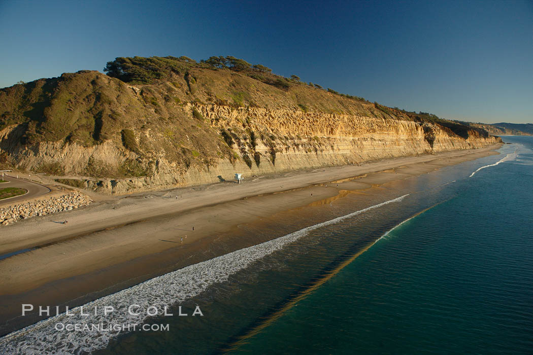 Torrey Pines seacliffs, rising up to 300 feet above the ocean, stretch from Del Mar to La Jolla.  On the mesa atop the bluffs are found Torrey pine trees, one of the rare species of pines in the world. Torrey Pines State Reserve, San Diego, California, USA, natural history stock photograph, photo id 22345