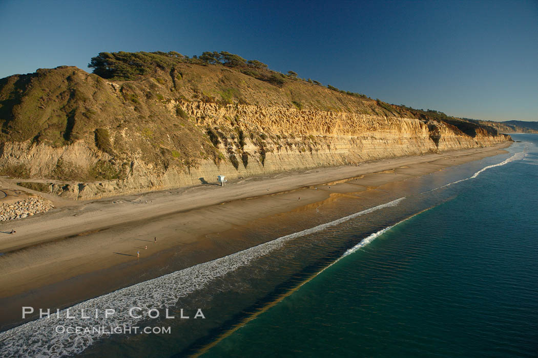 Torrey Pines seacliffs, rising up to 300 feet above the ocean, stretch from Del Mar to La Jolla.  On the mesa atop the bluffs are found Torrey pine trees, one of the rare species of pines in the world. Torrey Pines State Reserve, San Diego, California, USA, natural history stock photograph, photo id 22417