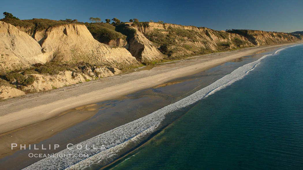 Torrey Pines seacliffs, rising up to 300 feet above the ocean, stretch from Del Mar to La Jolla.  On the mesa atop the bluffs are found Torrey pine trees, one of the rare species of pines in the world. Torrey Pines State Reserve, San Diego, California, USA, natural history stock photograph, photo id 22425