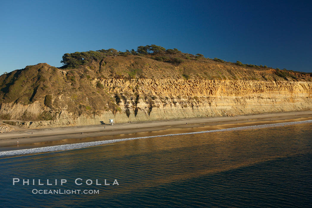 Torrey Pines seacliffs, rising up to 300 feet above the ocean, stretch from Del Mar to La Jolla.  On the mesa atop the bluffs are found Torrey pine trees, one of the rare species of pines in the world. Torrey Pines State Reserve, San Diego, California, USA, natural history stock photograph, photo id 22473