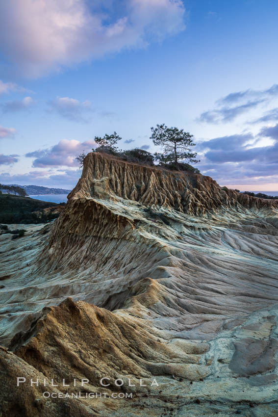 Torrey Pines storm clouds at sunset. Torrey Pines State Reserve, San Diego, California, USA, natural history stock photograph, photo id 29162