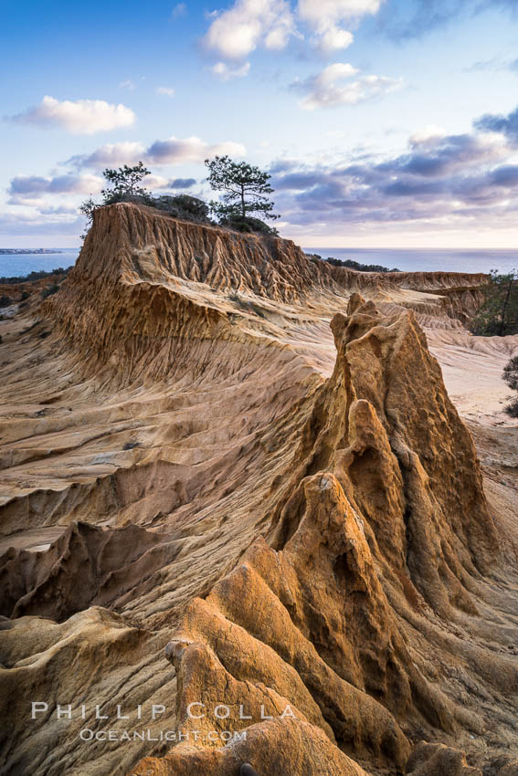 Torrey Pines storm clouds at sunset. Torrey Pines State Reserve, San Diego, California, USA, natural history stock photograph, photo id 29164