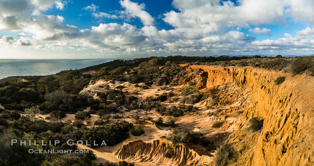 Torrey Pines storm clouds at sunset. Torrey Pines State Reserve, San Diego, California, USA, natural history stock photograph, photo id 29161