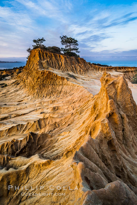 Torrey Pines State Reserve, Broken Hill at Dawn. San Diego, California, USA, natural history stock photograph, photo id 29177