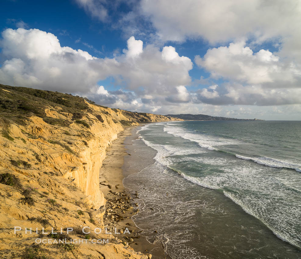Torrey Pines cliffs. Torrey Pines State Reserve, San Diego, California, USA, natural history stock photograph, photo id 29132