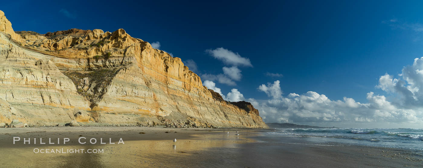 Torrey Pines cliffs. Torrey Pines State Reserve, San Diego, California, USA, natural history stock photograph, photo id 29131