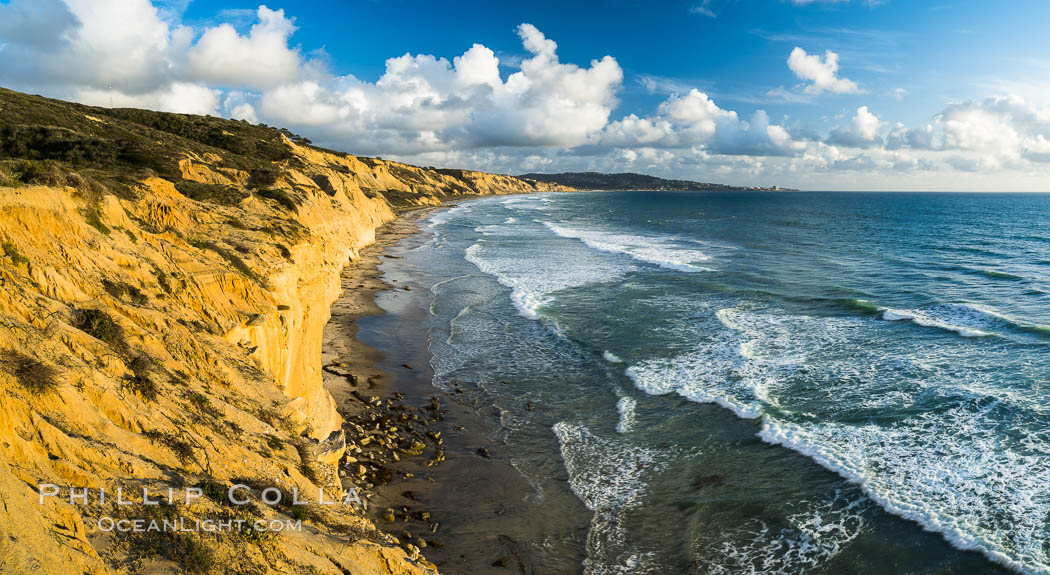 Torrey Pines cliffs. Torrey Pines State Reserve, San Diego, California, USA, natural history stock photograph, photo id 29133