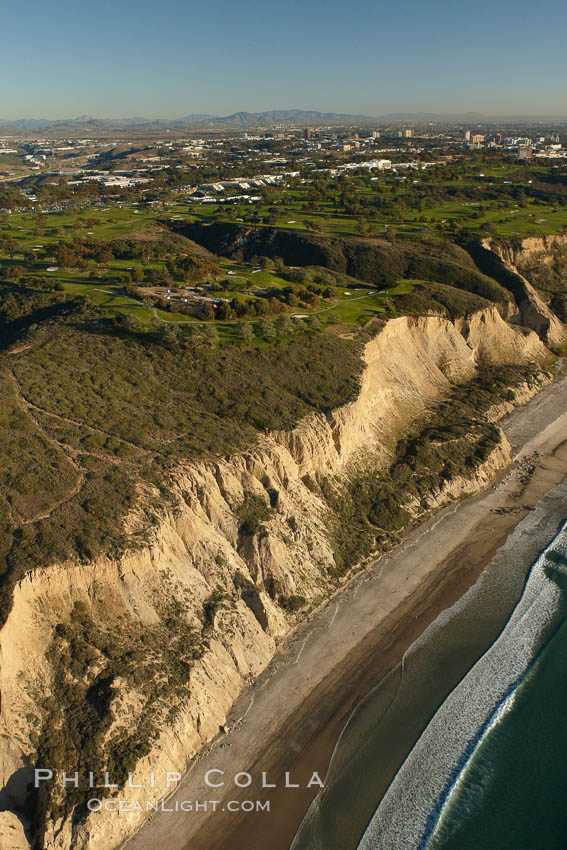 Torrey Pines golf course, situated atop the magnificent 300 foot tall seacliffs, offers majestic views of the Pacific Ocean south to La Jolla.  Scattered around the course are found Torrey pine trees, one of the rare species of pines in the world.  Some of La Jolla's biotechnology companies are seen on the far side of the golf course, along North Torrey Pines Road. San Diego, California, USA, natural history stock photograph, photo id 22320