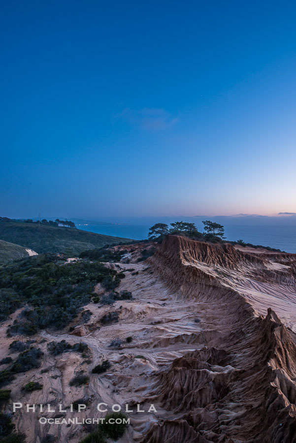 Torrey Pines State Reserve at Night, stars and clouds fill the night sky with the lights of La Jolla visible in the distance., natural history stock photograph, photo id 28401