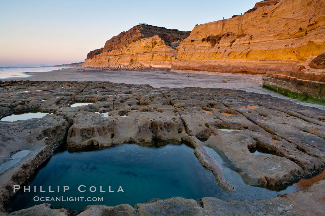 Sandstone cliffs of Torrey Pines State Reserve rise above a tidepool.  San Diego. California, USA, natural history stock photograph, photo id 14746