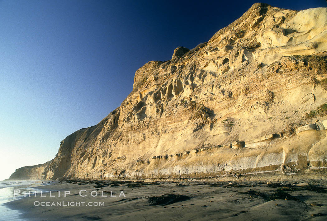 Sea cliffs at Torrey Pines State Reserve. San Diego, California, USA, natural history stock photograph, photo id 05512