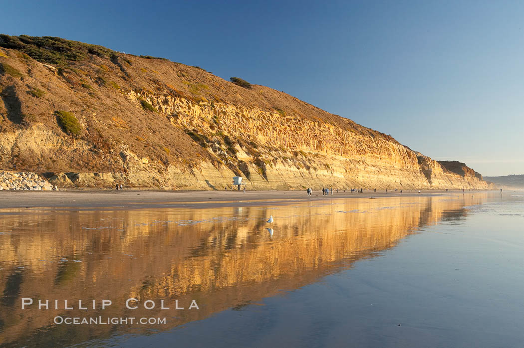 Sandstone cliffs rise above the beach at Torrey Pines State Reserve. San Diego, California, USA, natural history stock photograph, photo id 14724