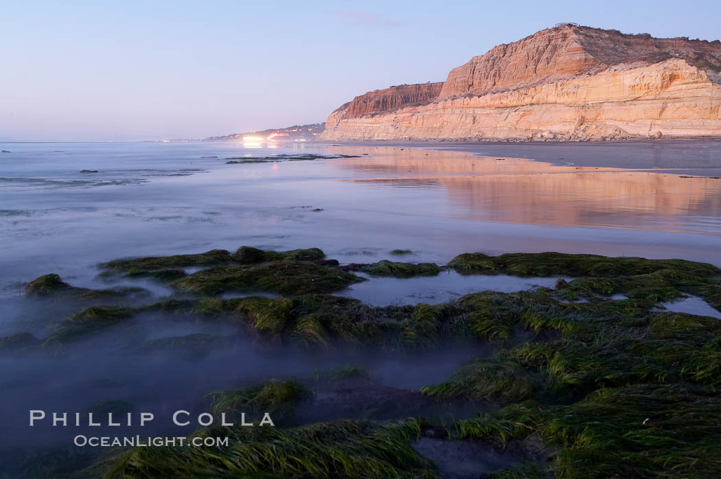 Eel grass sways in an incoming tide, with the sandstone cliffs of Torrey Pines State Reserve in the distance., natural history stock photograph, photo id 14736