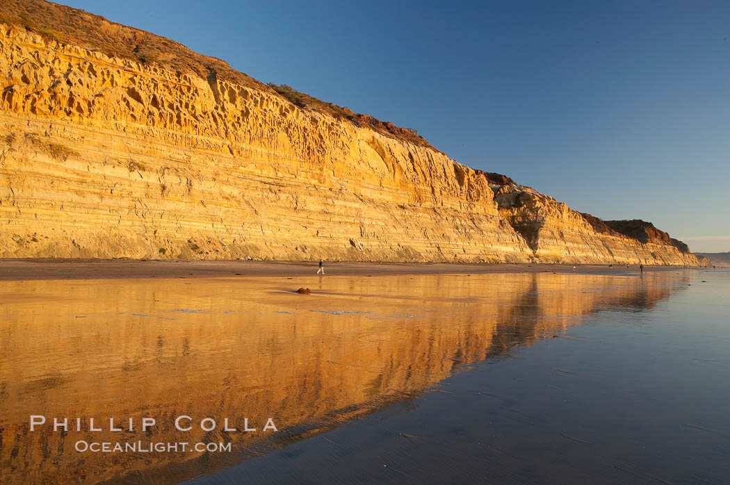 Sandstone cliffs rise above the beach at Torrey Pines State Reserve. San Diego, California, USA, natural history stock photograph, photo id 14725