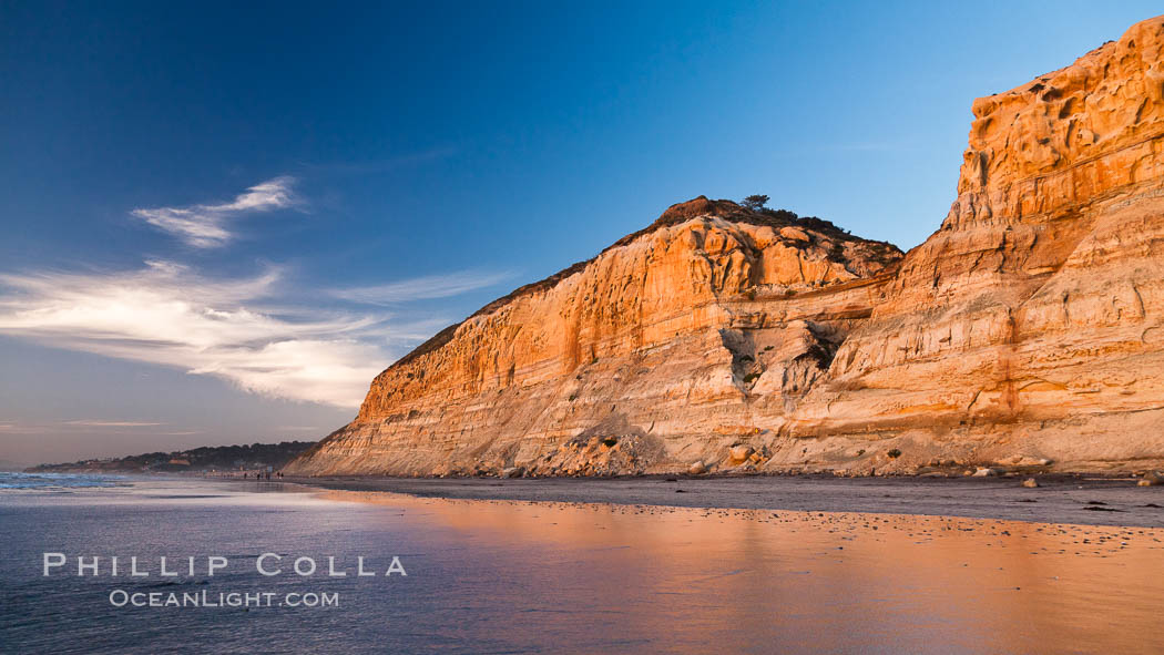 Torrey Pines sea cliffs. Torrey Pines State Reserve, San Diego, California, USA, natural history stock photograph, photo id 26582