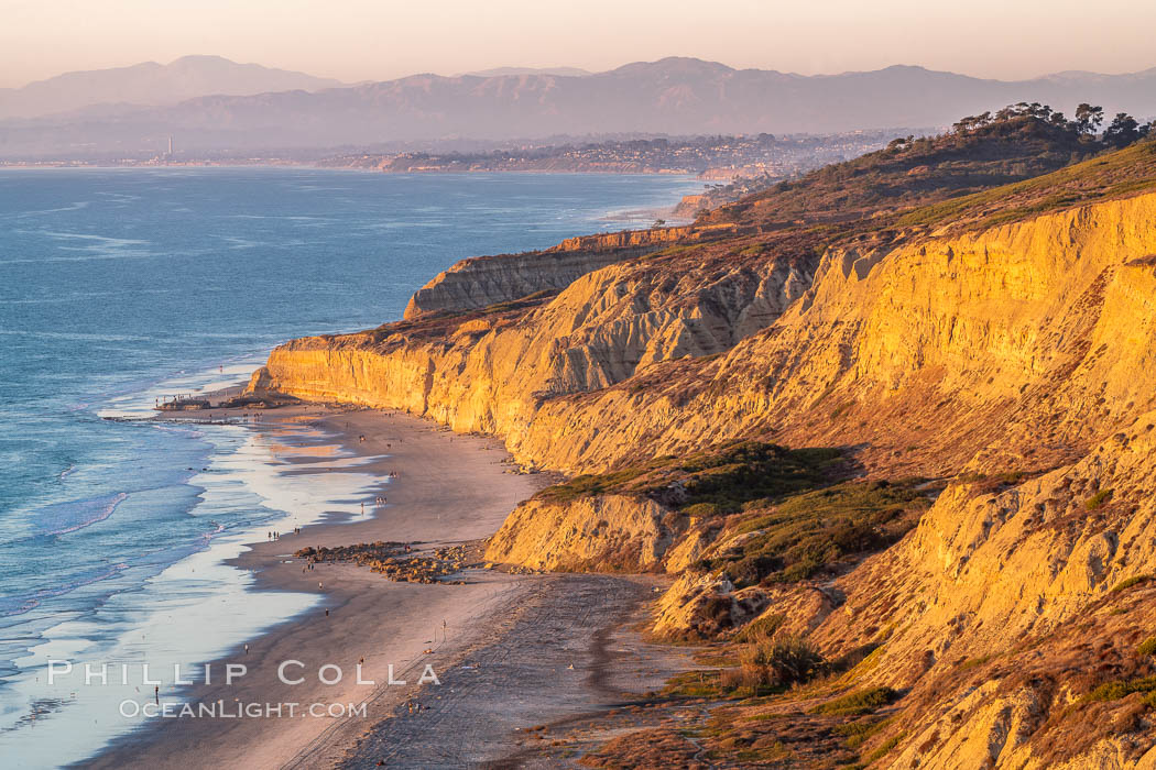 Torrey Pines sea cliffs at sunset, Flat Rock at low tide, looking north. Blacks Beach, La Jolla, California, USA, natural history stock photograph, photo id 36556