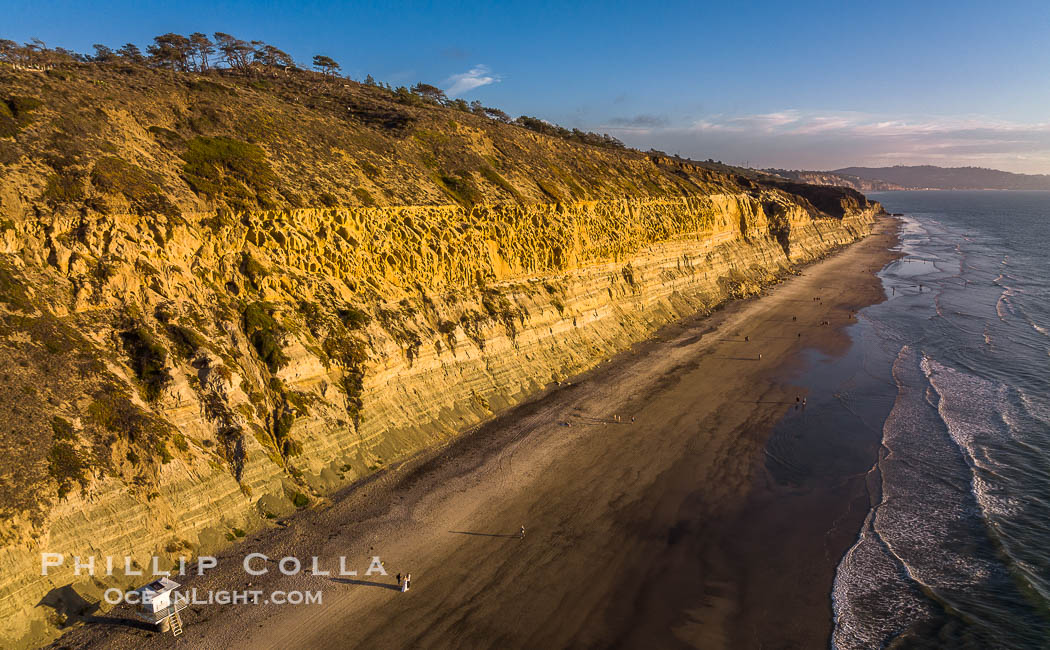 Torrey Pines seacliffs, rising up to 300 feet above the ocean, stretch from Del Mar to La Jolla. On the mesa atop the bluffs are found Torrey pine trees, one of the rare species of pines in the world. Torrey Pines State Reserve, San Diego, California, USA, natural history stock photograph, photo id 38226