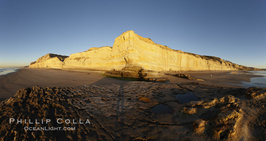 Torrey Pines State Beach, sandstone cliffs rise above the beach at Torrey Pines State Reserve. San Diego, California, USA, natural history stock photograph, photo id 22446