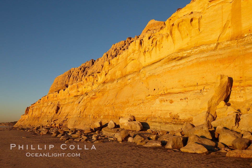 Torrey Pines State Beach, sandstone cliffs rise above the beach at Torrey Pines State Reserve. San Diego, California, USA, natural history stock photograph, photo id 22439