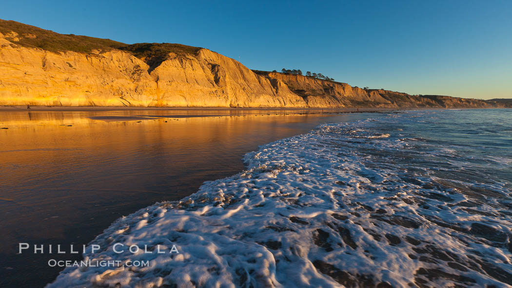 Torrey Pines State Beach, sandstone cliffs rise above the beach at Torrey Pines State Reserve. San Diego, California, USA, natural history stock photograph, photo id 27255