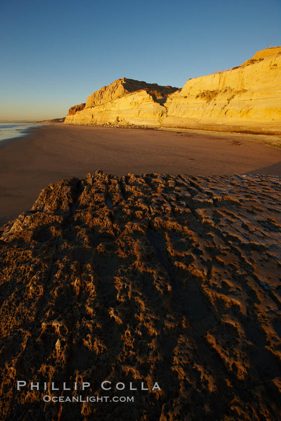 Torrey Pines State Beach, sandstone cliffs rise above the beach at Torrey Pines State Reserve. San Diego, California, USA, natural history stock photograph, photo id 22437