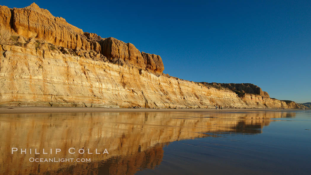 Torrey Pines State Beach, sandstone cliffs rise above the beach at Torrey Pines State Reserve. San Diego, California, USA, natural history stock photograph, photo id 22441