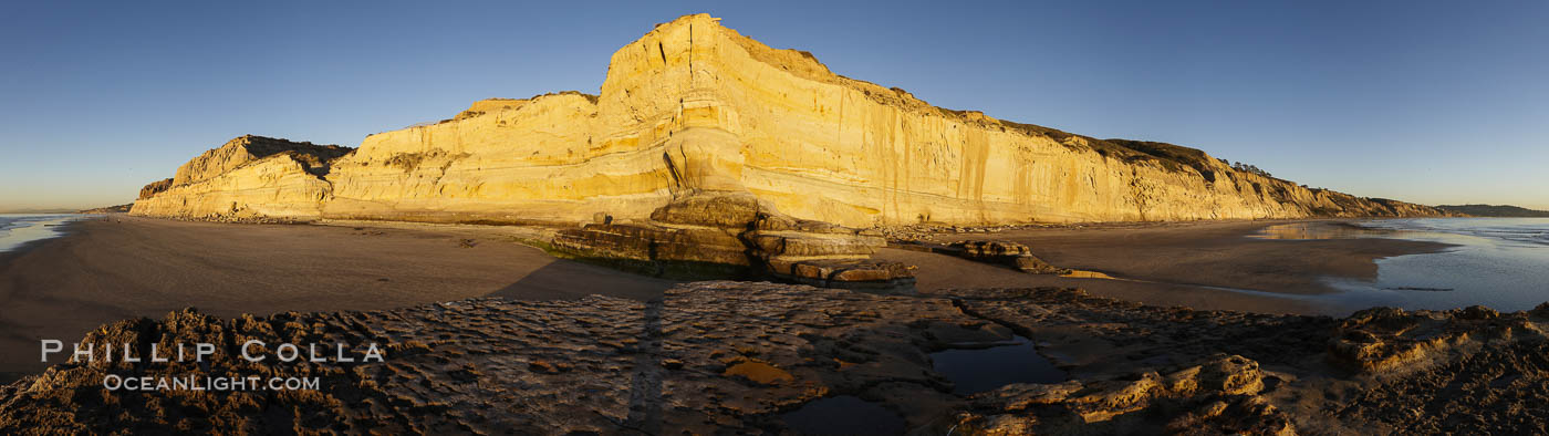 Torrey Pines State Beach, sandstone cliffs rise above the beach at Torrey Pines State Reserve. San Diego, California, USA, natural history stock photograph, photo id 22445