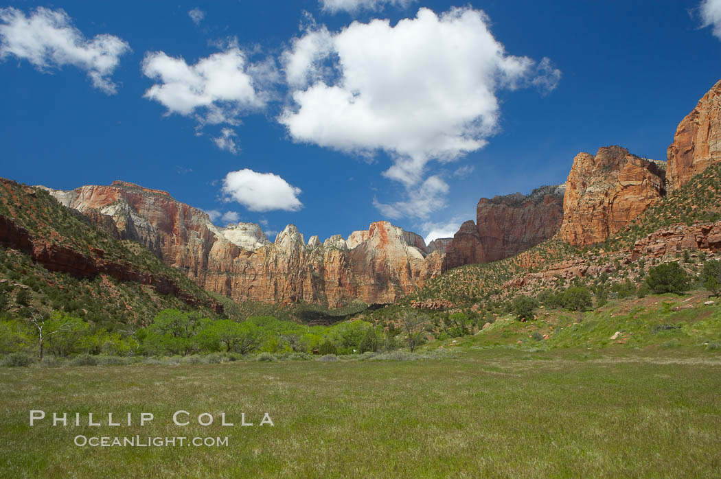 Towers of the Virgin.  From left are the West Temple, the Sundial, the Temple of the Virgin and the Altar of Sacrifice.Spring. Zion National Park, Utah, USA, natural history stock photograph, photo id 12800
