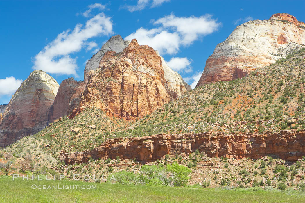 Towers of the Virgin, cottonwood trees. Spring. Zion National Park, Utah, USA, natural history stock photograph, photo id 12804