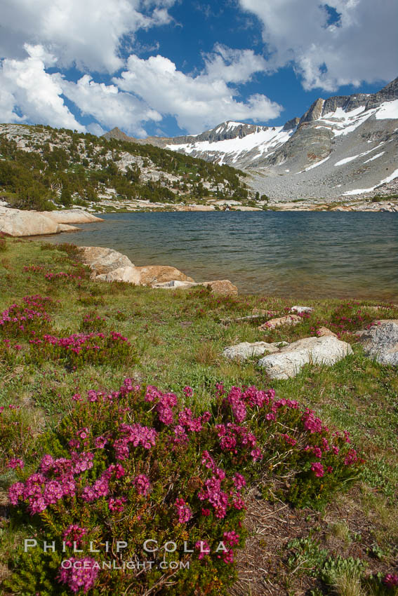 Townsley Lake (10396'), a beautiful alpine lake sitting below blue sky, clouds and Fletcher Peak (right), lies amid the Cathedral Range of glacier-sculpted granite peaks in Yosemite's high country, near Vogelsang High Sierra Camp. Yosemite National Park, California, USA, natural history stock photograph, photo id 23219