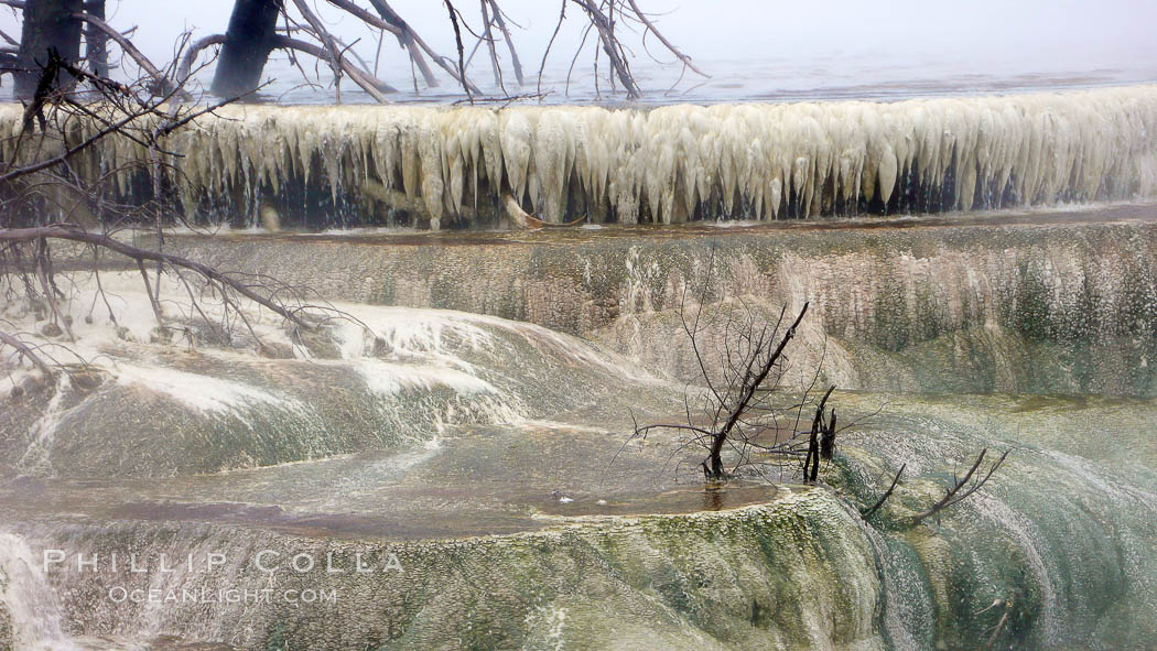 Travertine terrace detail, calcium carbonate, Minerva's terraces. Mammoth Hot Springs, Yellowstone National Park, Wyoming, USA, natural history stock photograph, photo id 19799