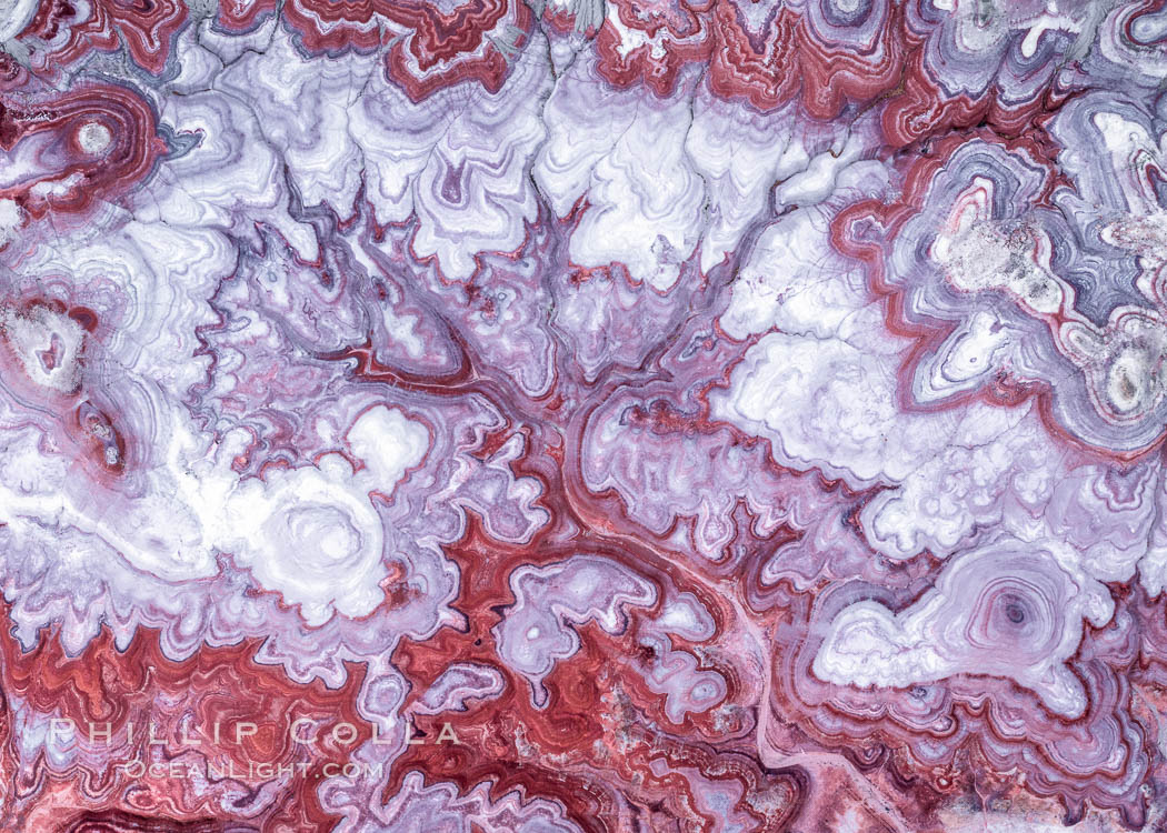 The Tree of Eons, a spectacular dendritic formation in the Bentonite Hills of Utah. Fantastic colorful sedimentary patterns, ancient Bentonite layers are exposed through erosion in the Utah Badlands. The Bentonite Hills are composed of the Brushy Basin shale member of the Morrison Formation. This layer was formed during Jurassic times when mud, silt, fine sand, and volcanic ash were deposited in swamps and lakes.  Photographed just before sunrise with soft pre-dawn illumination. Aerial panoramic photograph. USA, natural history stock photograph, photo id 37951