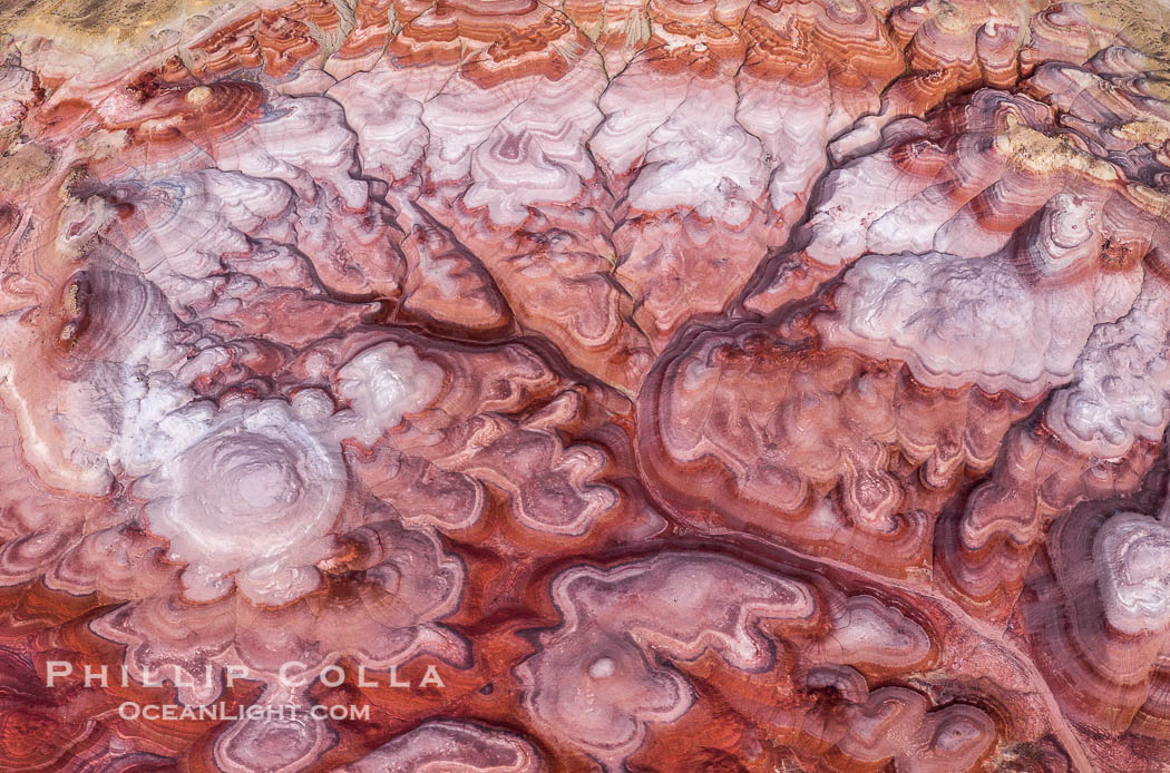 The Tree of Eons, Utah. The Tree of Eons is a spectacular geologic sight near the San Rafael Swell in Utah.  Here the Tree of Eons is seen under the direct light of midday.  Erosion has cut a dendritic "tree" through red, blue, purple and white layers of the Chinle formation. The Tree of Eons is a superb example of dendritic erosion and, to really appreciate its complex fractal-like details, must be observed from above. USA, natural history stock photograph, photo id 38201