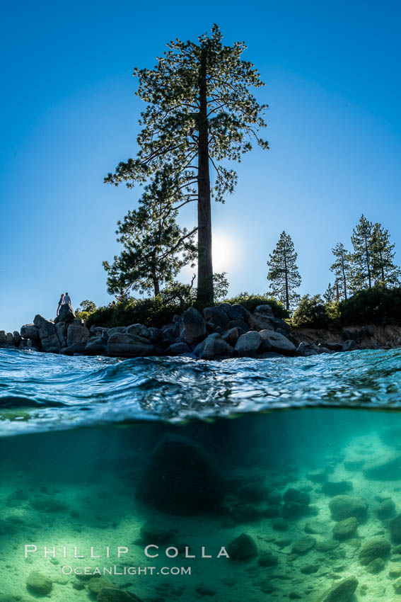 Trees and rocks in Lake Tahoe, Sand Harbor State Park. Nevada, USA, natural history stock photograph, photo id 36414