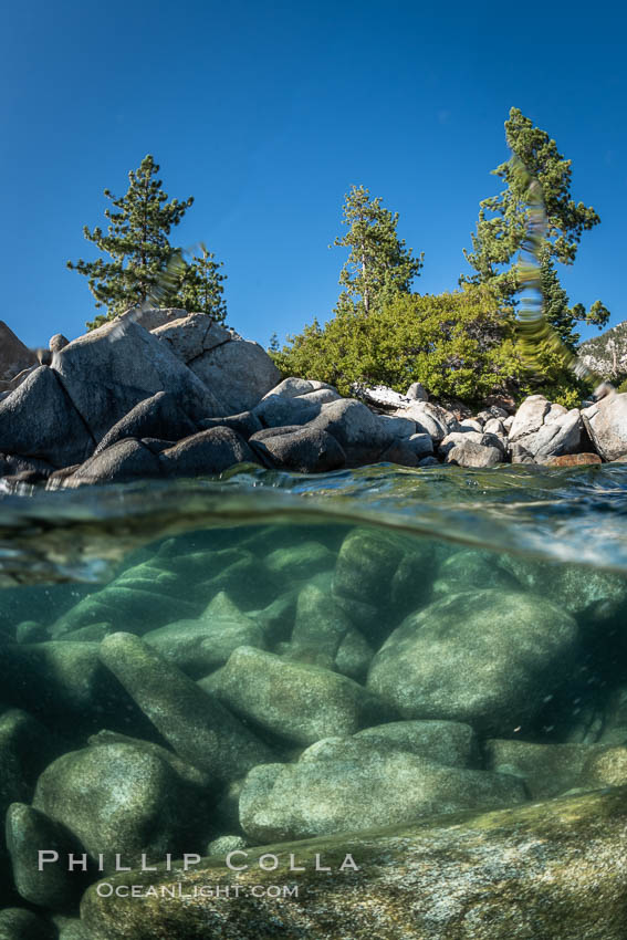 Trees and rocks in Lake Tahoe, Sand Harbor State Park. Nevada, USA, natural history stock photograph, photo id 36413