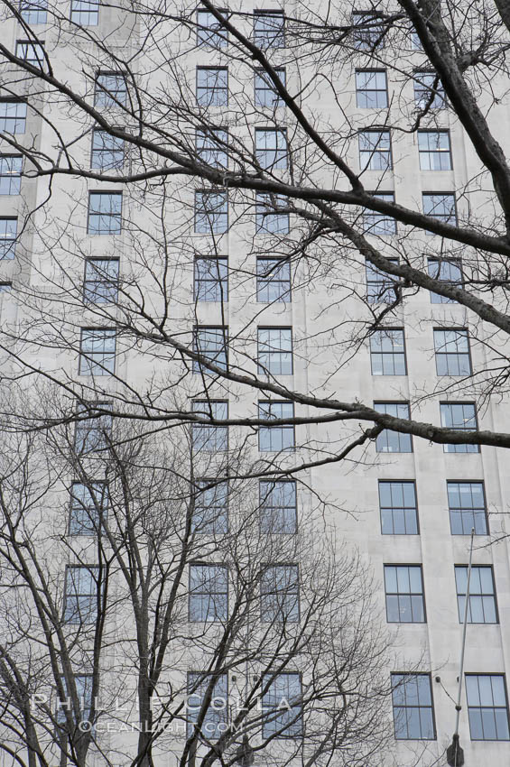 Trees and buildings, winter. Manhattan, New York City, USA, natural history stock photograph, photo id 11164