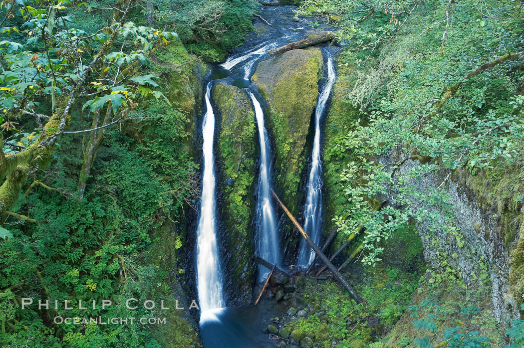 Triple Falls, a trio of falls dropping 130 feet in the upper part of Oneonta Gorge. Columbia River Gorge National Scenic Area, Oregon, USA, natural history stock photograph, photo id 19328