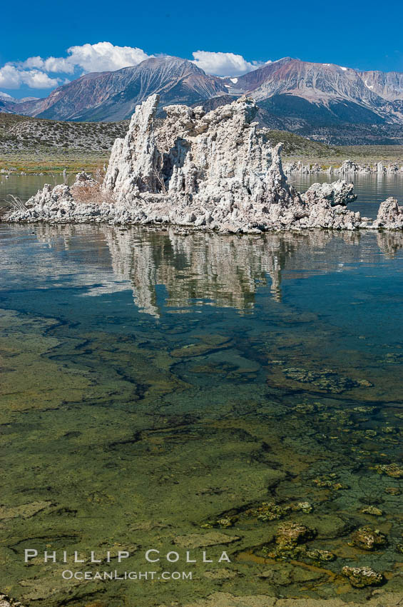 Tufa towers rise from Mono Lake with the Eastern Sierra visible in the distance.  Tufa towers are formed when underwater springs rich in calcium mix with lakewater rich in carbonates, forming calcium carbonate (limestone) structures below the surface of the lake.  The towers were eventually revealed when the water level in the lake was lowered starting in 1941.  South tufa grove, Navy Beach. California, USA, natural history stock photograph, photo id 09934