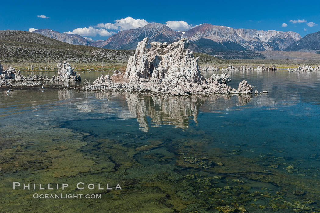 Tufa towers rise from Mono Lake with the Eastern Sierra visible in the distance.  Tufa towers are formed when underwater springs rich in calcium mix with lakewater rich in carbonates, forming calcium carbonate (limestone) structures below the surface of the lake.  The towers were eventually revealed when the water level in the lake was lowered starting in 1941.  South tufa grove, Navy Beach. California, USA, natural history stock photograph, photo id 09935